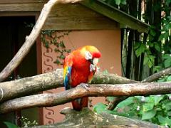149 BIO PARC DE DOUE LA FONTAINE 4- 2016_000038